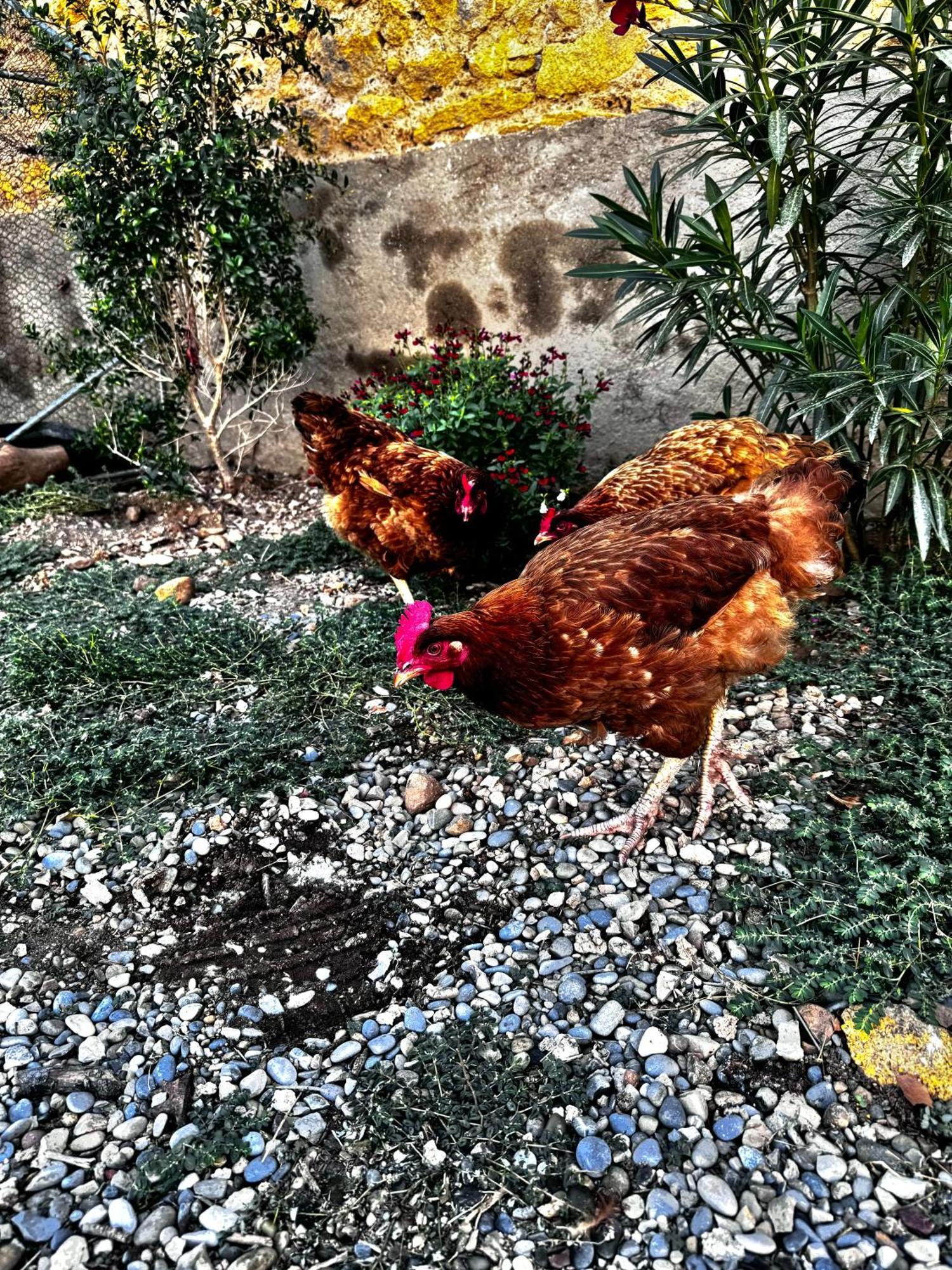 Charmant T2 Atypique Proche Du Centre-Ville Miramas Dış mekan fotoğraf