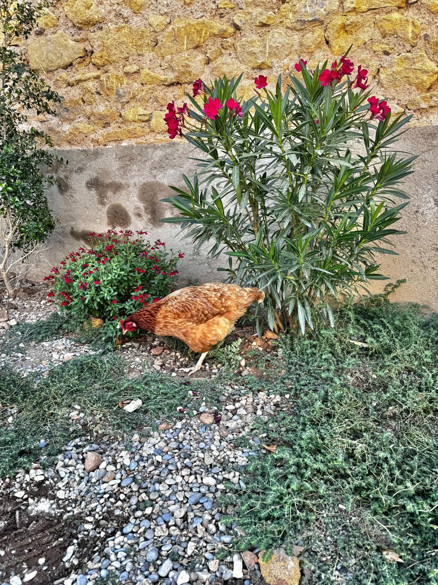 Charmant T2 Atypique Proche Du Centre-Ville Miramas Dış mekan fotoğraf